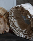 Andrianna Shamaris Erosion Teak Wood Art Sculptures