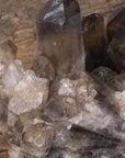 Smokey Quartz Cluster - Large