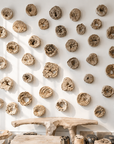 Andrianna Shamaris Erosion Teak Wood Art Sculptures
