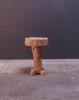 Live Oak Endgrain Side Table
