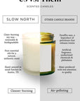 Orange + Clove - Signature 3-Wick Non-Toxic Candle