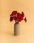 Twin Vase