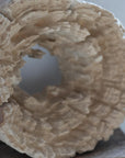 Andrianna Shamaris Erosion Teak Wood Art Sculptures