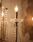 Detail of a candelabra arm with cut-glass floral bobeche and upright lit flame-tip bulb