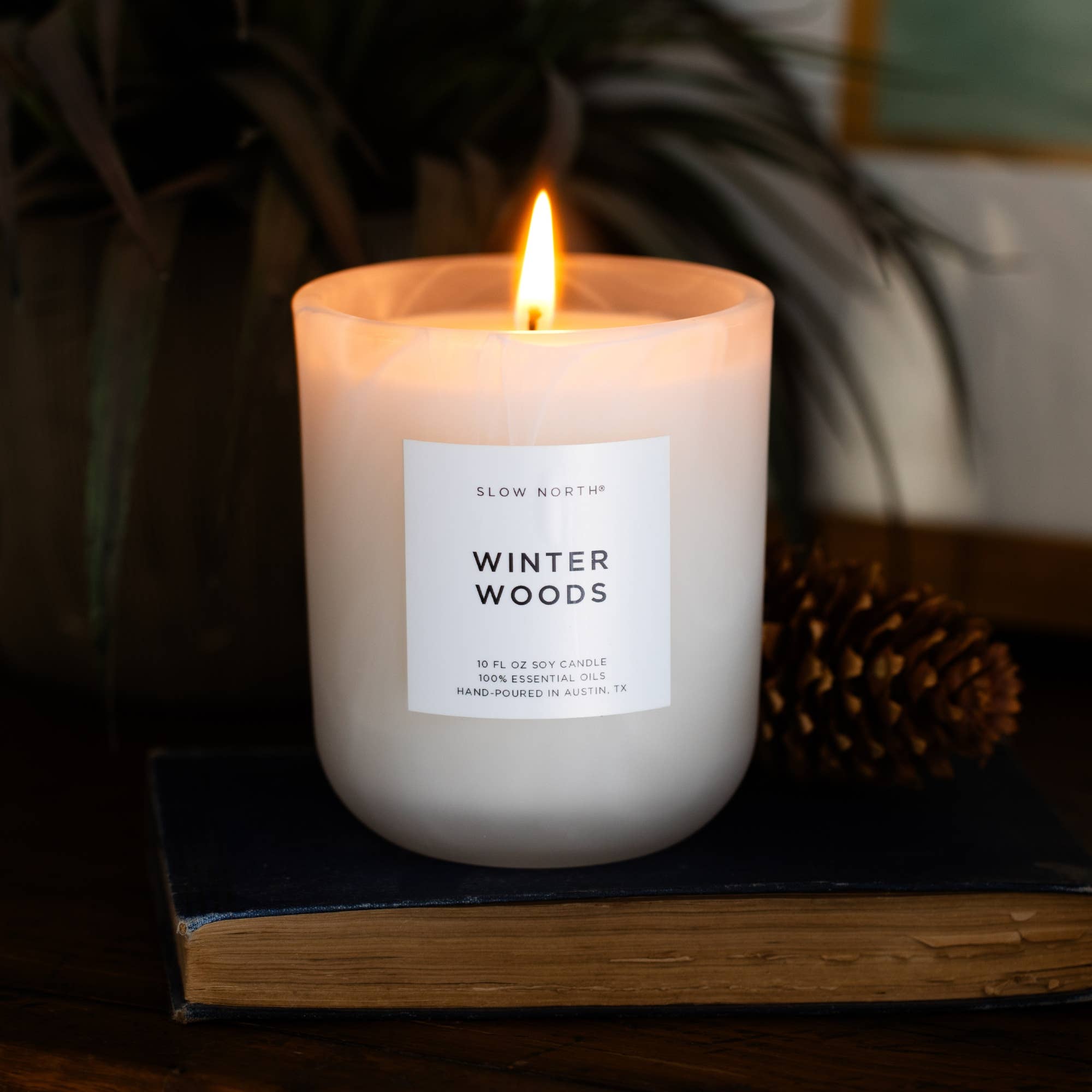Winter Woods - Limited Edition Candle