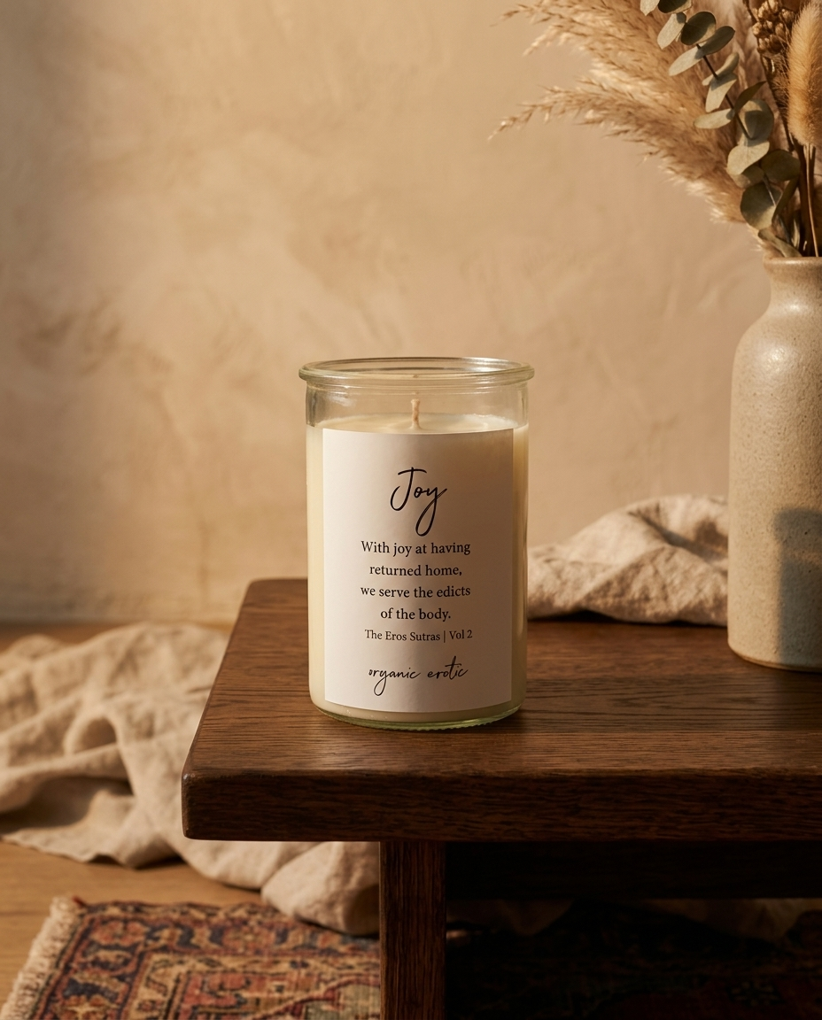 Joy Sutra Candle in living room