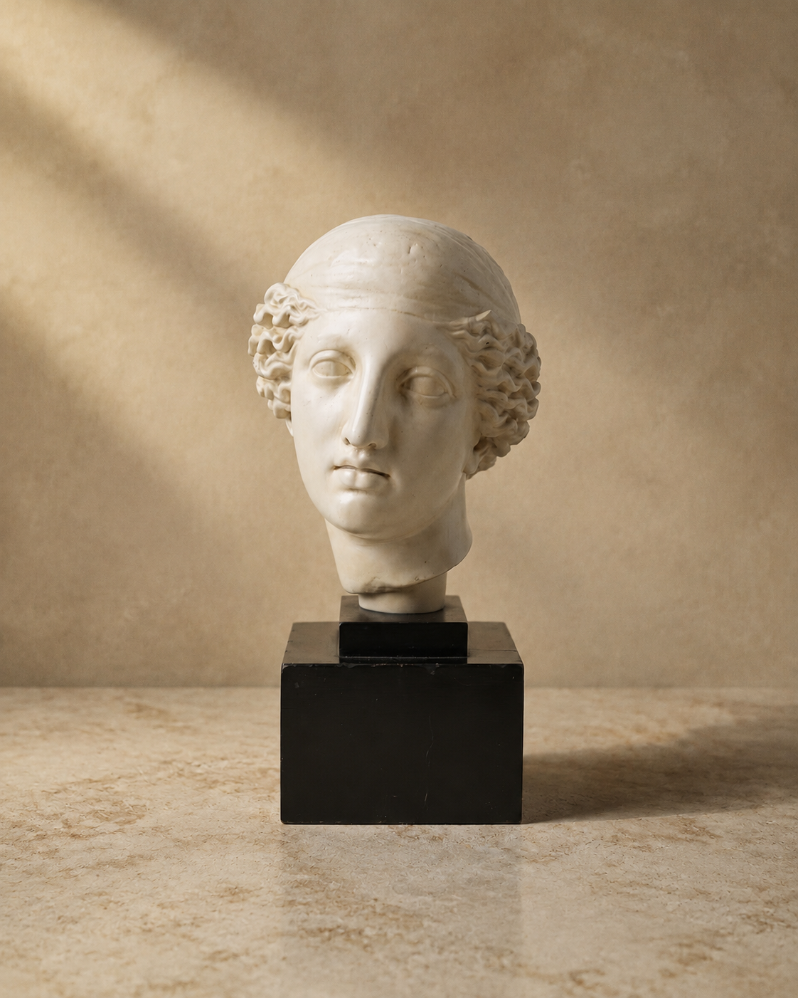 Classical Head on Black Plinth