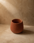Indoor Ceramic Planters