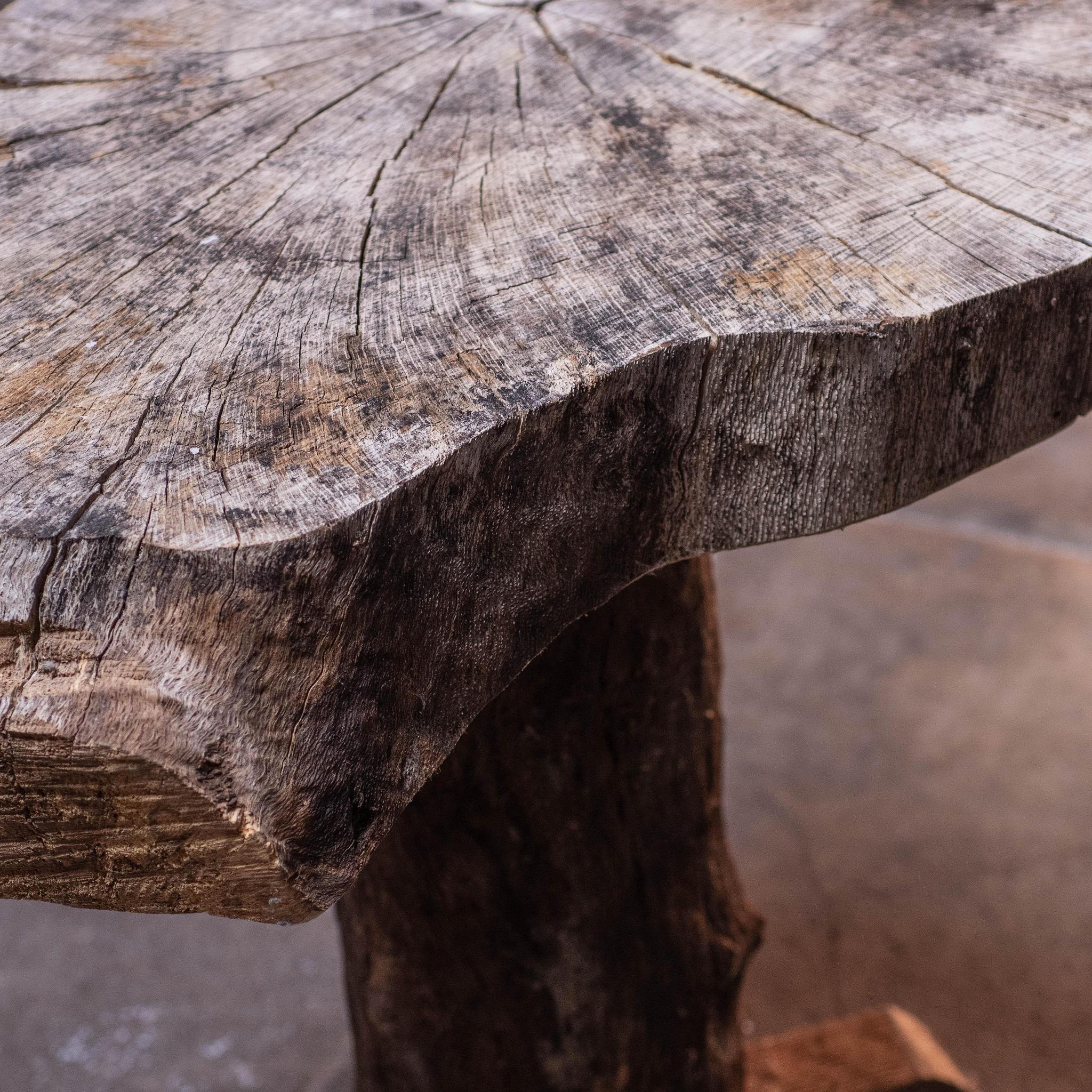 Live Oak Endgrain Side Table