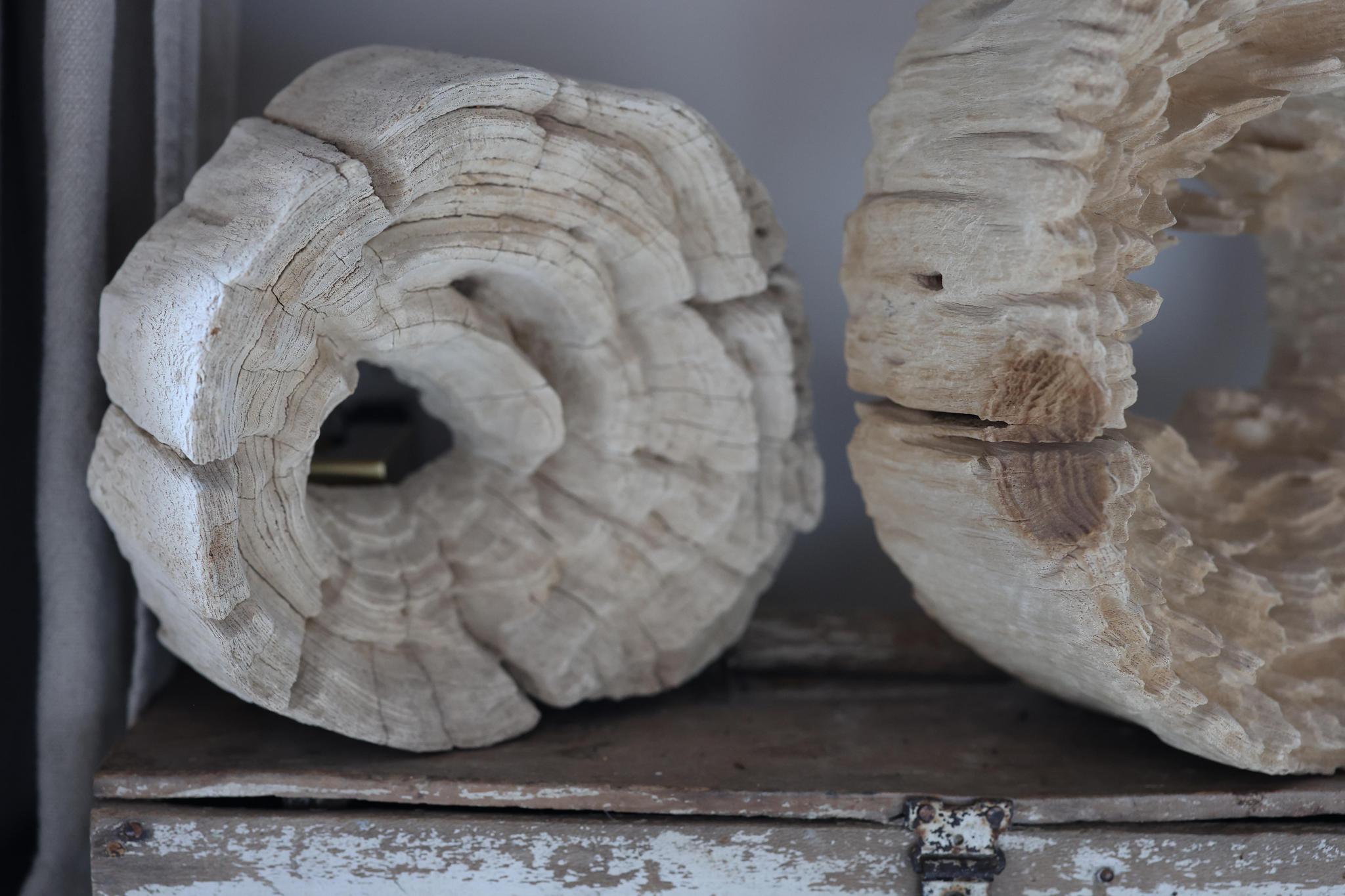 Natural Weathered Wood Sculptures