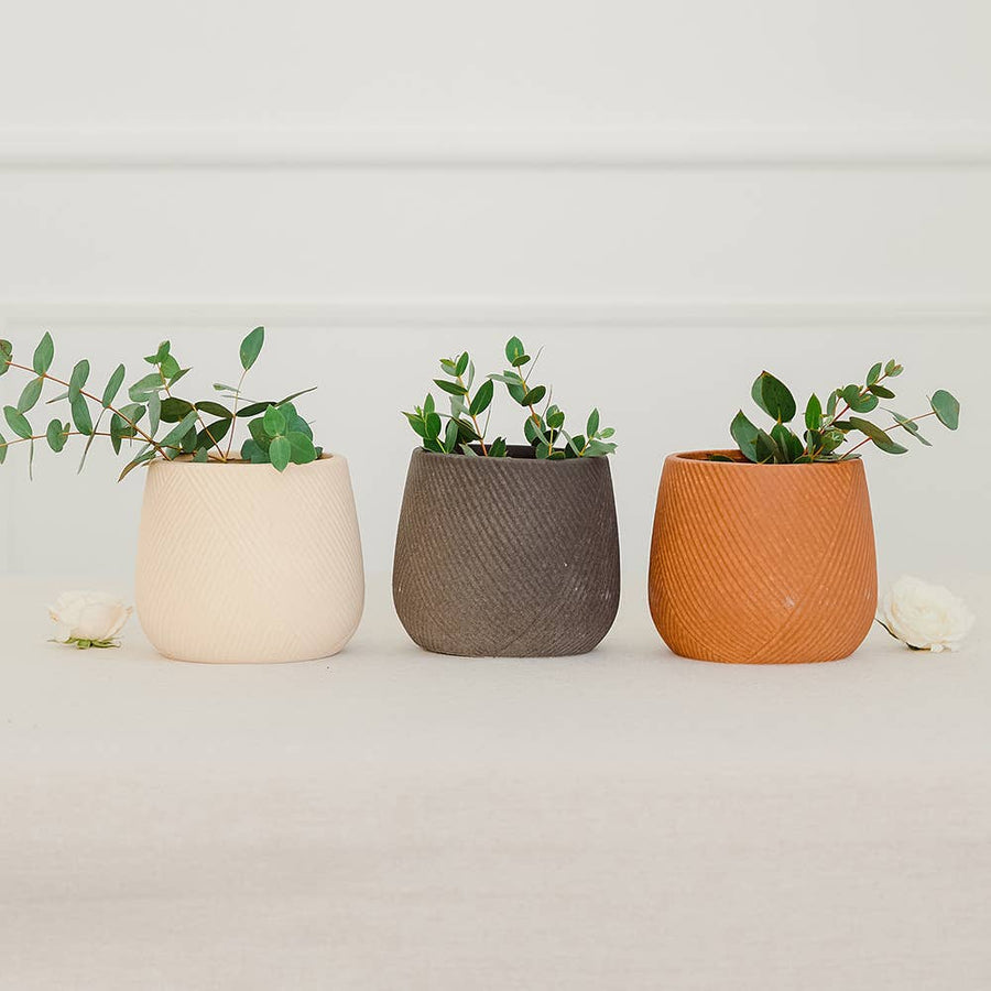 Indoor Ceramic Planters