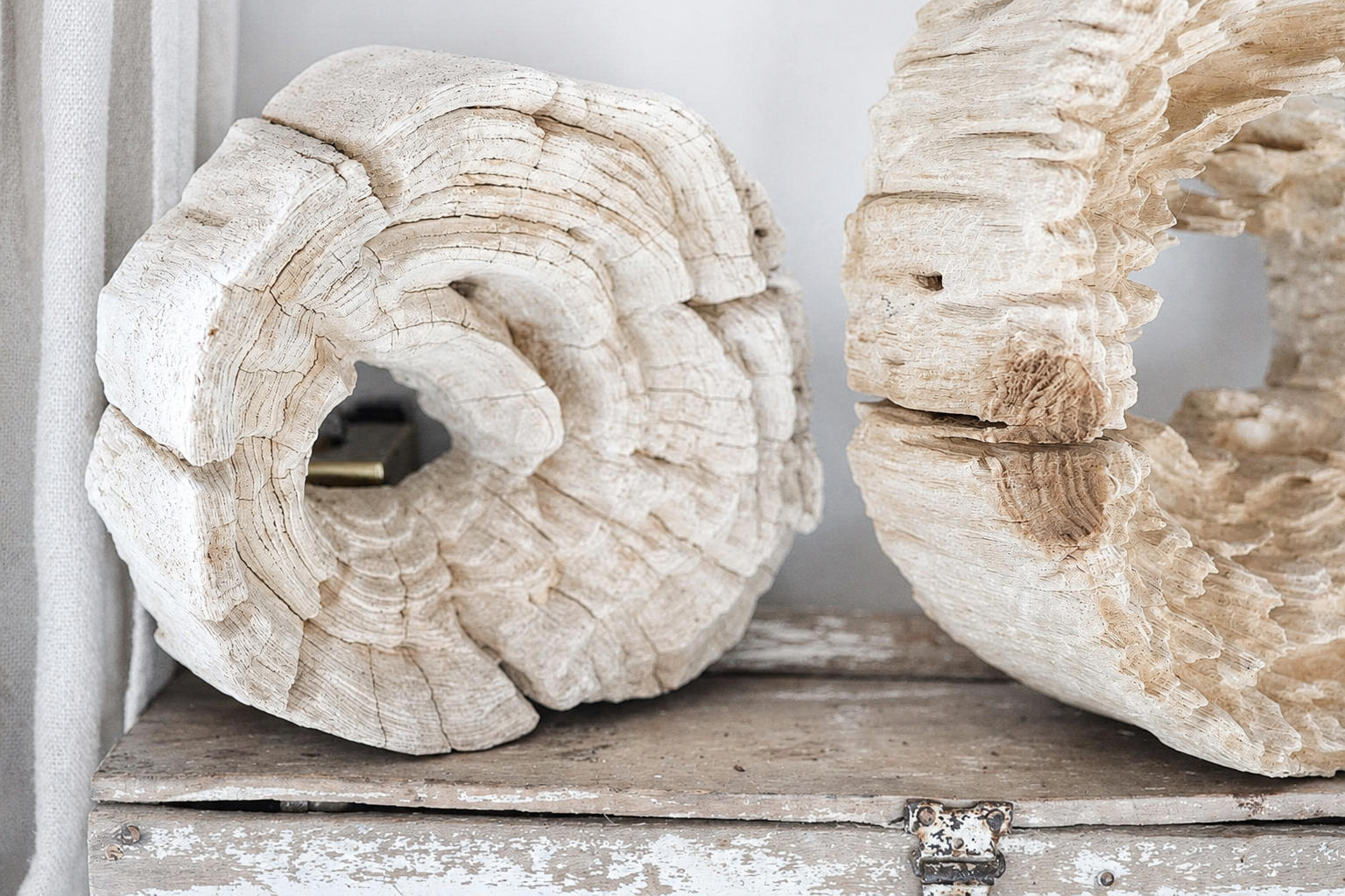 Andrianna Shamaris Erosion Teak Wood Art Sculptures
