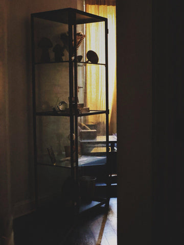 Curiosity Cabinet