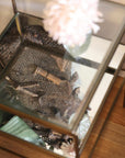 The Looking Glass Table