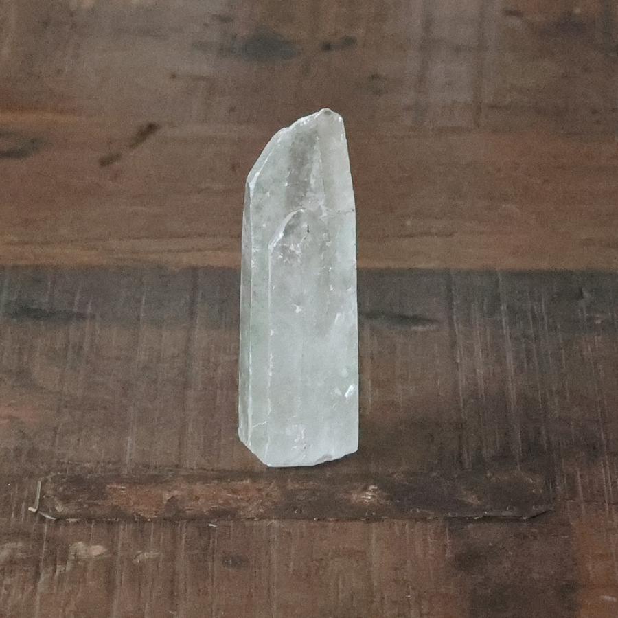 The Leah Kit: The Essence Set