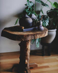 Live Oak Endgrain Side Table