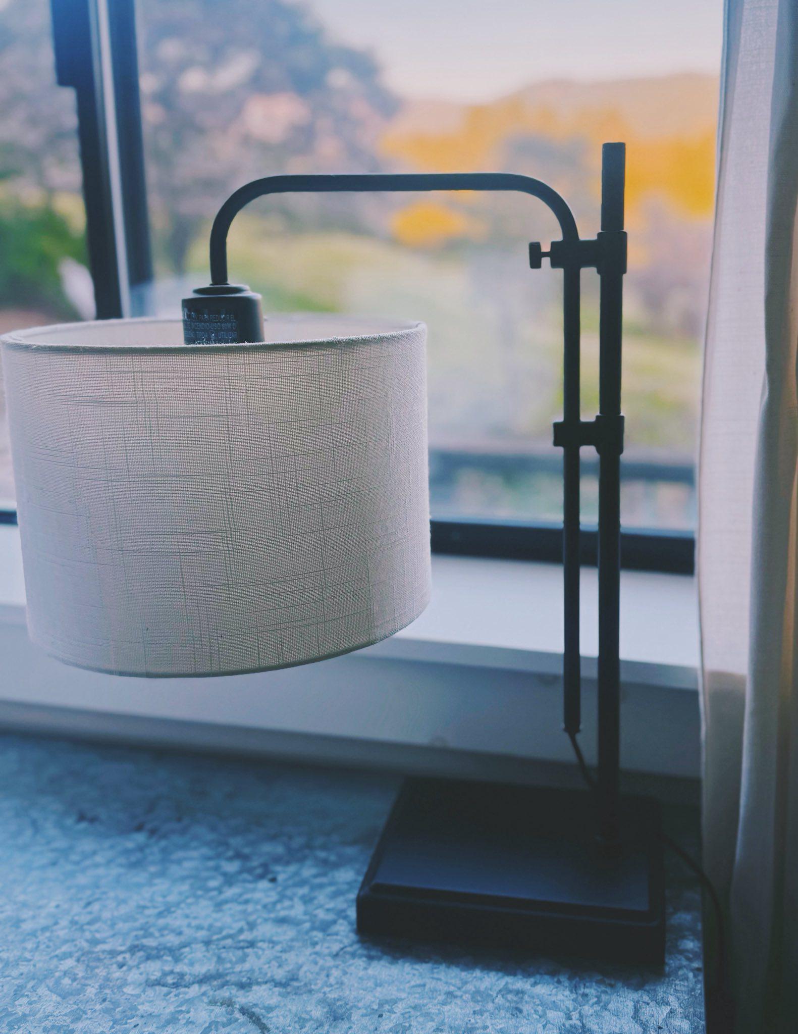 Shaded Table Lamp