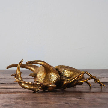 Gold Beetle Scarab