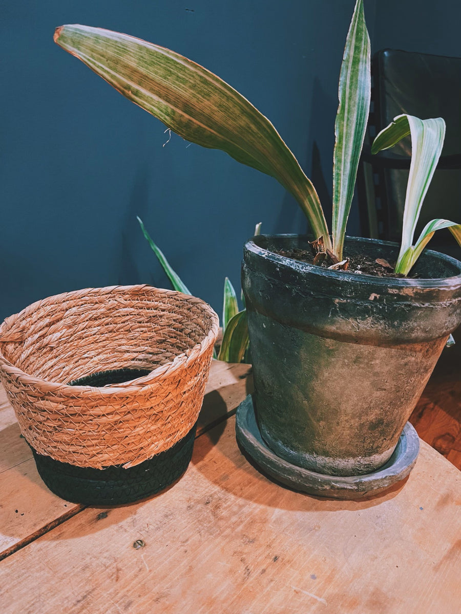 Two Tone Woven Basket
