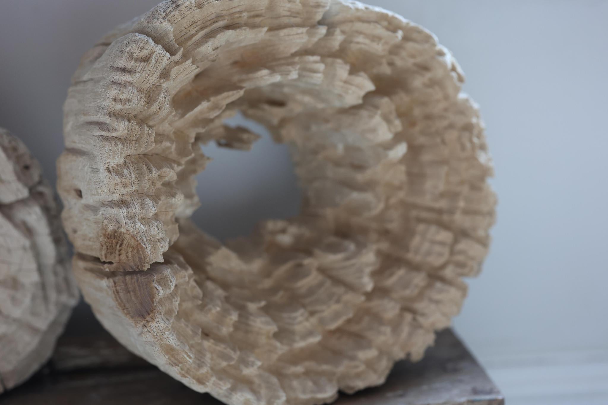 Natural Weathered Wood Sculptures