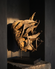 Senufo sacrifice mask from the Ivory Coast, encrusted horned helmet mask displayed on a stone plinth in dramatic light