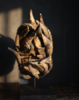 Senufo sacrifice mask, Ivory Coast, front-facing display against a dark plaster wall
