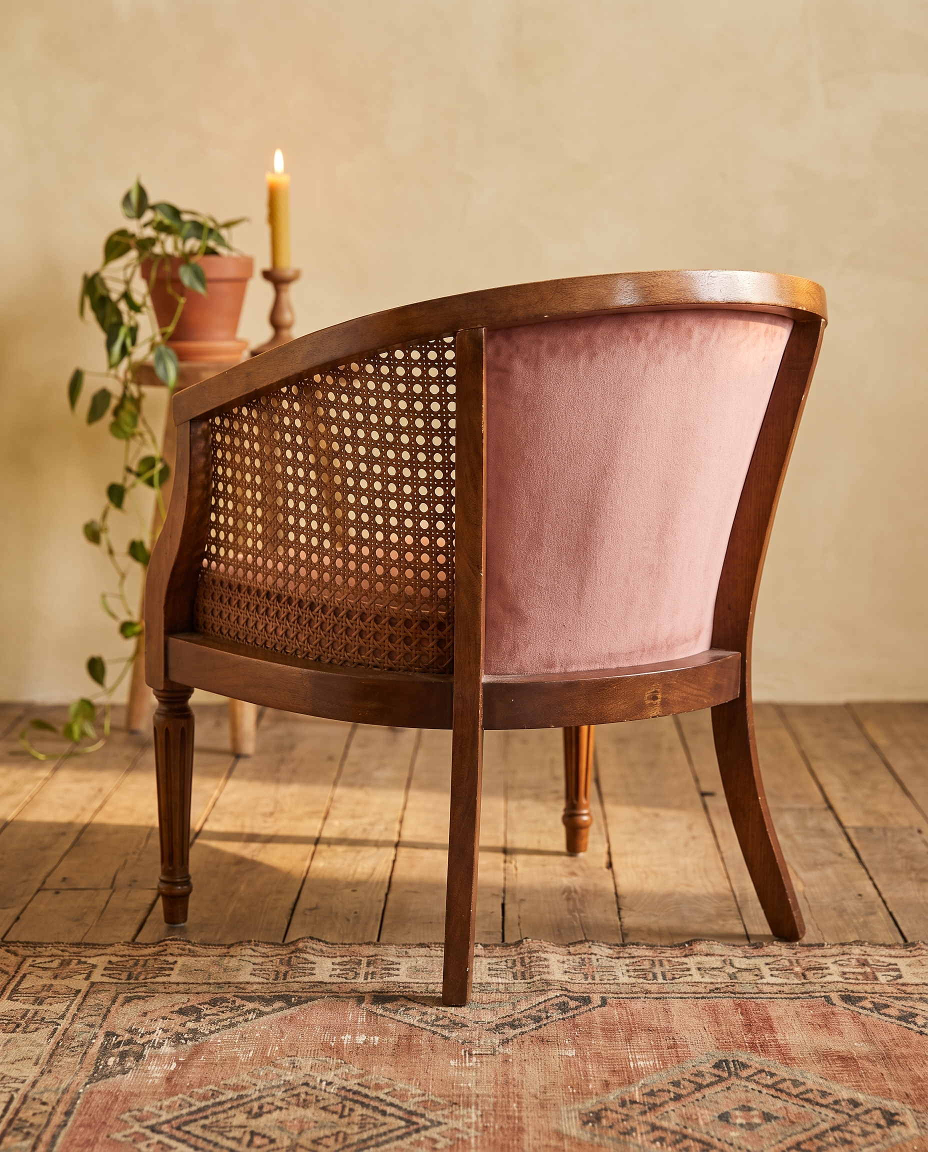Rear view of the cane barrel chair showing wraparound cane and saber legs