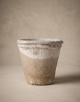 Rustic Short Tomato Pot