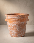 Tresco Rustic Pot
