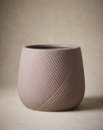 Indoor Ceramic Planters