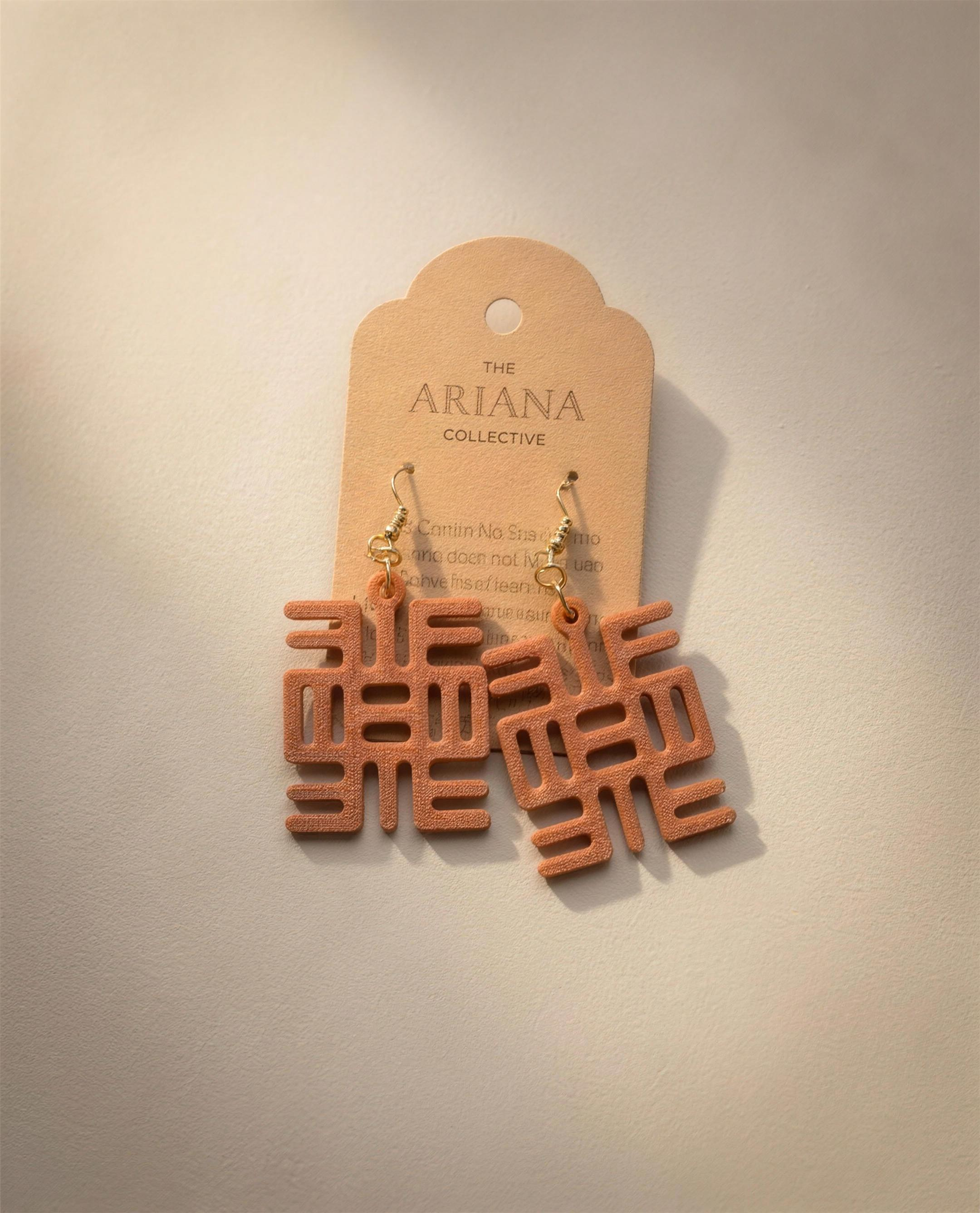 Nea Onnim No Sua A, Ohu Adinkra Earrings