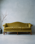 Chartreuse camelback sofa in a cool grey winter room with a bare branch