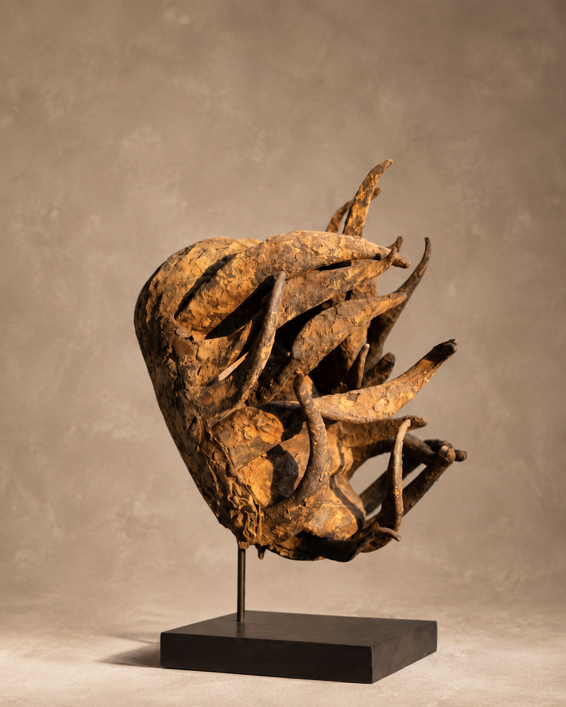 Senufo Sacrifice Mask, Ivory Coast
