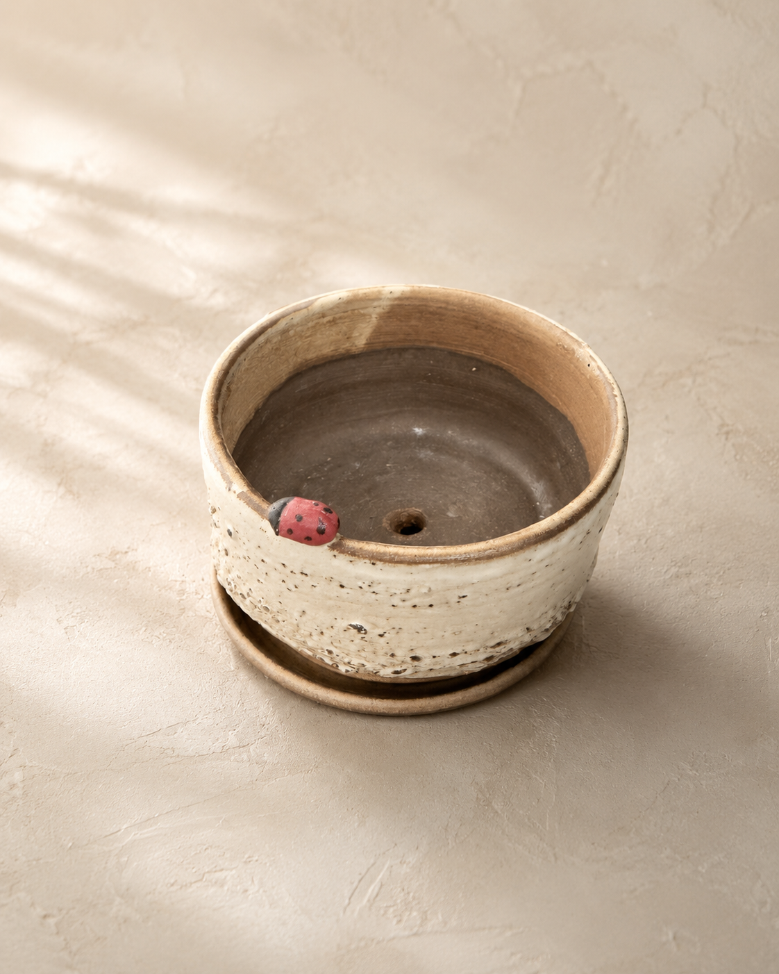 Ladybug Planter