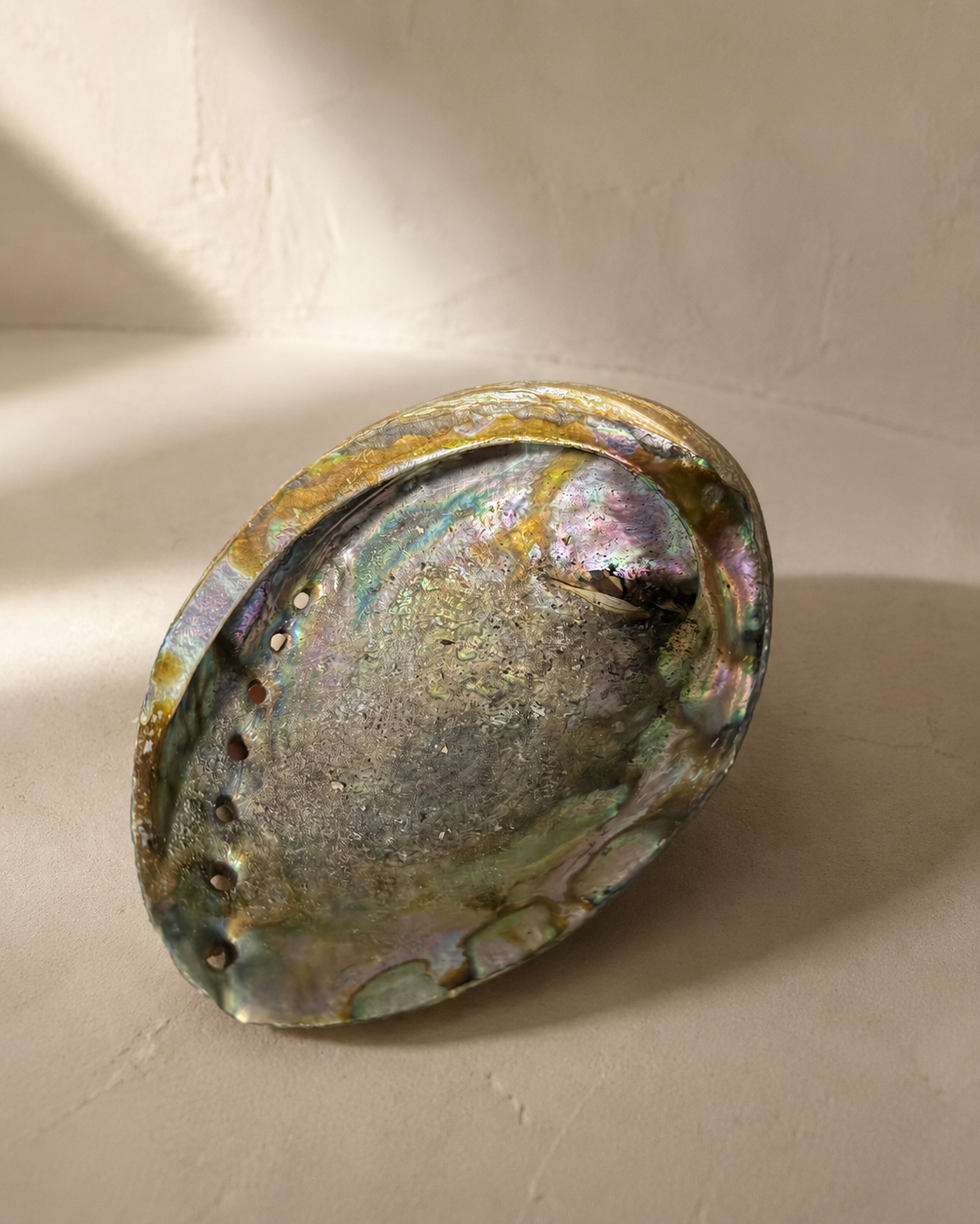 Large Natural Shell — abalone