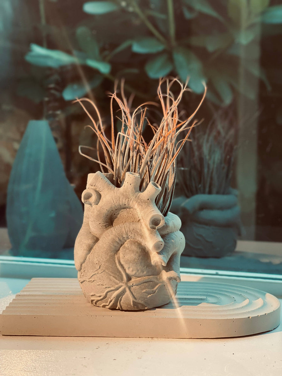 Anatomical Heart Planter